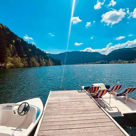 Apartment Price For 6 In Gerardmer! *